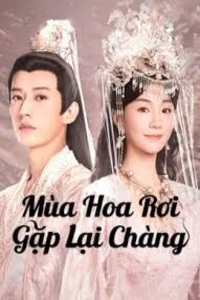 Mùa Hoa Rơi Gặp Lại Chàng