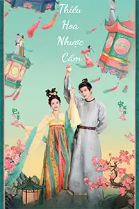 Thiều Hoa Nhược Cẩm