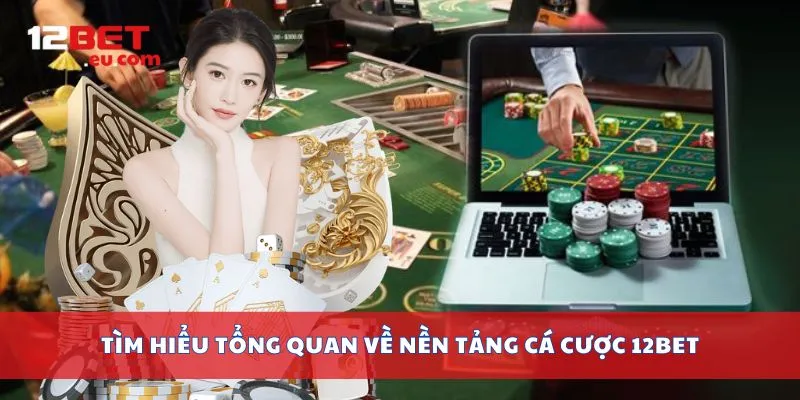 Tổng quan hệ sinh thái và tiêu chuẩn vận hành