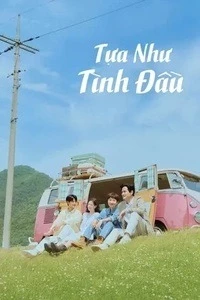 Tựa Như Tình Đầu